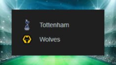 Tottenham x Wolves